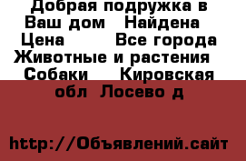 Добрая подружка,в Ваш дом!!!Найдена › Цена ­ 10 - Все города Животные и растения » Собаки   . Кировская обл.,Лосево д.